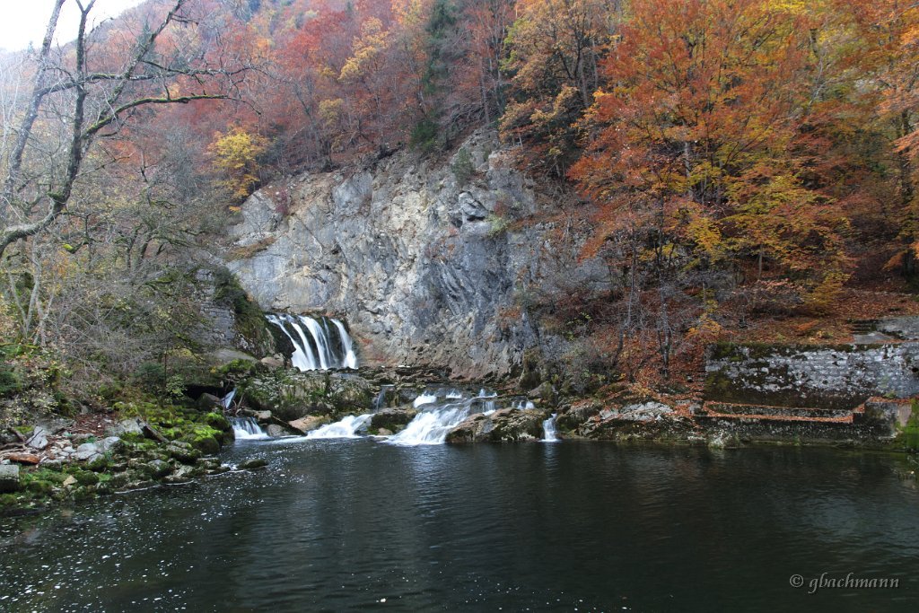 20101030_049